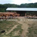 distributorkayujakarta@gmail.com